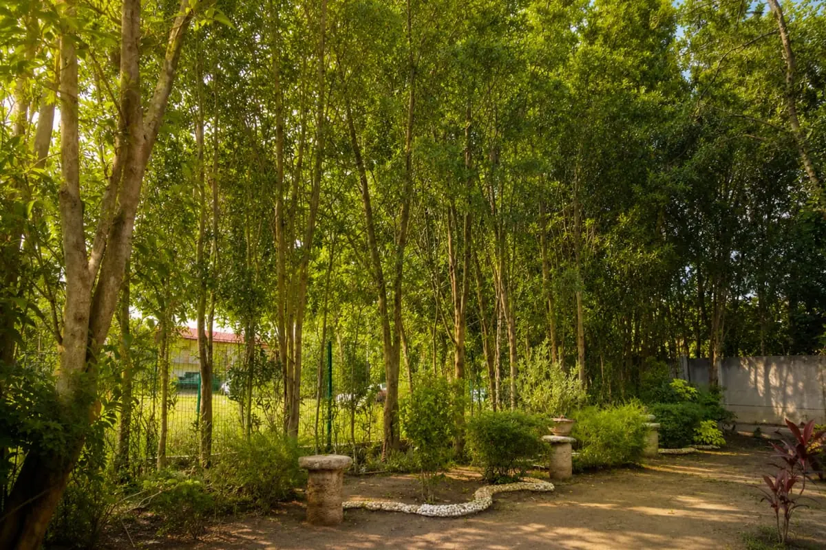 Gardens